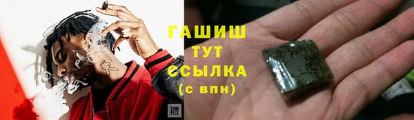 гашик Аркадак