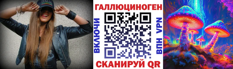 это как зайти  Куровское  Галлюциногенные грибы Cubensis 