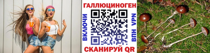 Псилоцибиновые грибы мухоморы Куровское